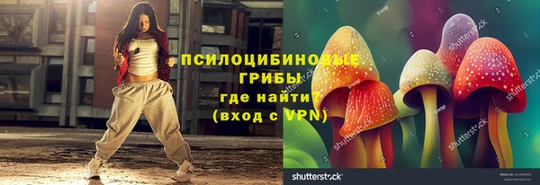 твердый Балахна